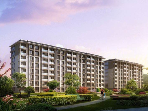 浙江省杭州市臨安區鳳凰府邸